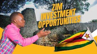 Investing in African Real Estate - The Zimbabwe Boom #investing #livedeal