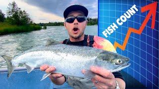 Kenai River Alaska Sockeye Salmon Fishing Report: Off The Charts Fish Count!