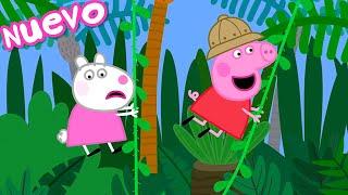 Los Cuentos de Peppa la Cerdita | Aventura en la Isla Tropical | NUEVOS Episodios de Peppa Pig