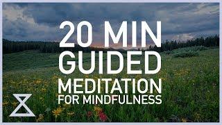 20 Minute Guided Meditation for Mindfulness