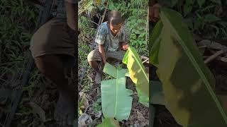 PAGKAIN NG AETA PAG NASA GUBAT