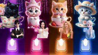 Cute Cats Dance | Wednesday Bloody Mary | Jisoo Flower | Shakira Waka Waka | Elsa Enemy | Songs Cats