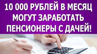 10 000 рублей в месяц могут заработать пенсионеры с дачей!