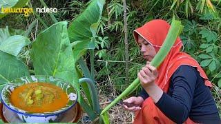 masak lompong campur pete santan pedas hasil panen dari kebun, masakan desa, hidup di desa