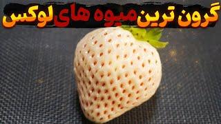 میوه های گران | 10 تا از میوه هایی که حتی یک بارم نمیتونی بخوری!