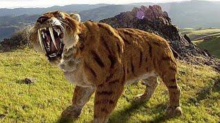 Saber-toothed Tiger | Prehistoric Cats Documentary