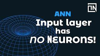 There are NO input layer Neurons!
