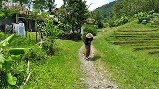 Ini yang akan kalian lihat di Kampung tengah perbukitan kebumen utara.desa karangrejo karanggayam