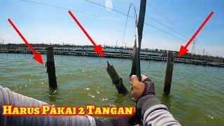 Tak disangka Mancing Pakai piranti kecil strike BABON lagi