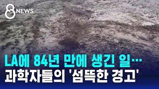 "고대 저주가 풀려난 느낌"…LA에 84년 만에 생긴 일 / SBS 8뉴스