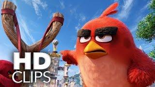 ANGRY BIRDS - Der Film | Filmausschnitte & Trailer | HD (2016)