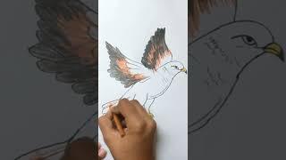 Drawing Of Eagle #short #youtubeshorts #drawing