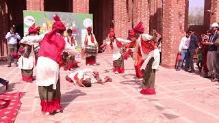 Punjabi Jhumer Dance! Jhang Folk Team At Punjab Peace & Cultural Festival 2017