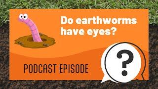 But Why Kids | Do earthworms have eyes? | Full Podcast Episode