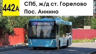 Автобус 442а "Пос. Аннино - СПб, ж/д ст. "Горелово" (старая трасса) (маршрут закрыт)