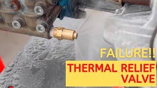 FAILURE - Thermal Relief Valve CAT Pump - Easy Fix *Correct Part Number*