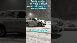 Luxury strength embodiment Geely Monjaro