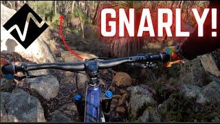 Gnarly Black trails and Close Calls! Wambenger trails WA