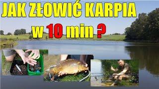 Jak złowić karpia w 10 minut?