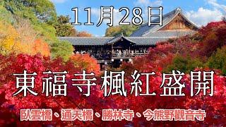 2024 日本楓葉快報 I 11/28 東福寺楓葉現況分享、必拍的臥雲橋及通天橋，最佳觀賞期就是現在12月初 I  今熊野觀音寺 美到不像話的賞楓秘境 I 勝林寺 顏色繽紛的紙傘、手水舍