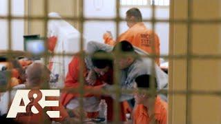 Behind Bars: Rookie Year: What’s Your Problem, Bro? (Season 2) | A&E