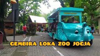 GEMBIRA LOKA YOGYAKARTA | GL ZOO TERKINI 2022