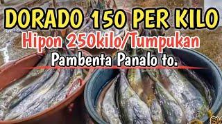 Dorado 180kilo/Lapu Lapu150kilo /Tuna 180kilo/hipon 260kilo/tambakol 100kilo#fish #fishport #congtv