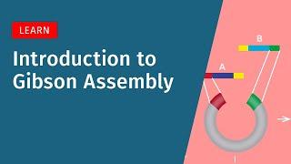 Introduction to Gibson Assembly