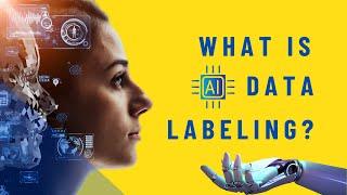 What is Data Labeling? Its Types, Role, Challenges and Solutions | AI Data Labeling Services