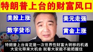 翟山鹰：特朗普上台带来的世界财富风口丨美股丨美元丨数字货币丨黄金