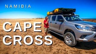 Namibia's Atlantic Coast ... The Cape Cross Seal Colony _ E19
