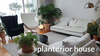 식물 키우기 20년 | 잘 자라는 실내식물 추천 12가지 | 단정한 아파트 플랜테리어