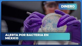 Alerta sanitaria por brote de bacteria resistente en México | Dinero en Imagen