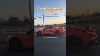 I caught this beautiful corvette
