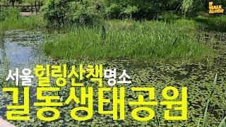 길동생태공원 |서울 힐링산책 명소 Gildong Ecological Park in Seoul /살아숨쉬는 자연생태계 위를 걷기/서울속 놀라운 공간/50년전 한국농촌풍경그대로