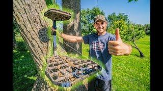 HOW TO HANG TREESTANDS!  Mobile Hunting Setup