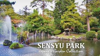 Japanese Garden at the site of the castle ruin | Sensyu Park