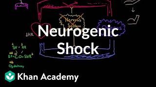 Neurogenic shock | Circulatory System and Disease | NCLEX-RN | Khan Academy