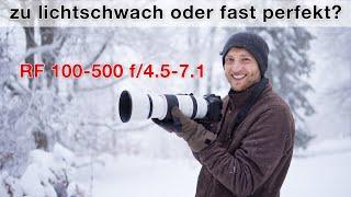 Das perfekte Allround-Zoom für die Tierfotografie? RF100-500 Langzeit Review