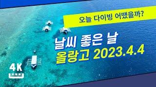 오늘 세부 다이빙은 올랑고 서쪽(4월 4일)