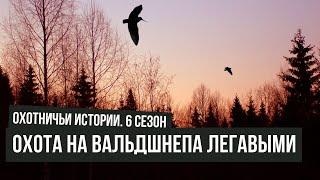 Охота на вальдшнепа легавыми \ Охотничьи истории \ #7