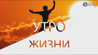 Утро жизни  Полина Алферова