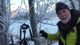 Photographing the Hoarfrost in Alaska with Jeff Schultz
