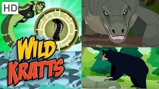 Wild Kratts  New Creature Adventures! (Part 4)  | Kids Videos