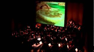 Grand Canyon Suite - Grofe (Texas Medical Center Orchestra) PART I