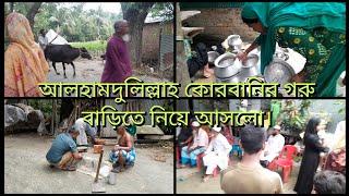 ঈদ মোবারক কুরবানীর গরু আজ বাড়িতে কিনে নিয়ে আসলো /khuki vlogz