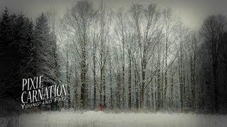 Pixie Carnation | Young and Free | Official Video