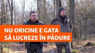 „Nu oricine e gata să lucreze în pădure”. Tot mai puțini studenți la Silvicultură