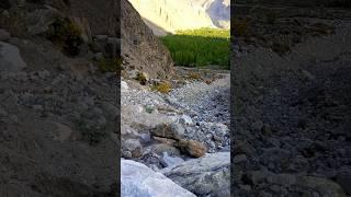 Dropping a Stone From the Hill #mountains #sliding