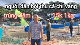 BIỂN LONG HẢI VŨNG TÀU / làng chài long hải / hải sản người dân mới bắt vào tuơi rói giá rẻ